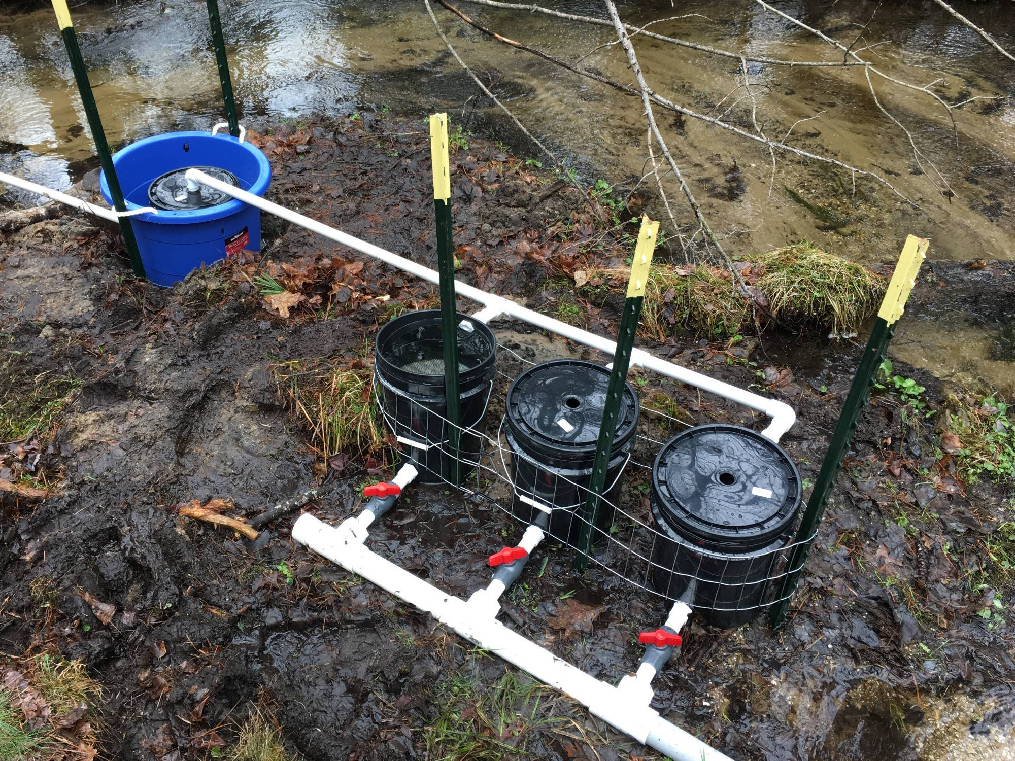 A streamside fish egg incubator: a series of pipes moving river water to buckets containing fish eggs supported by mesh net.